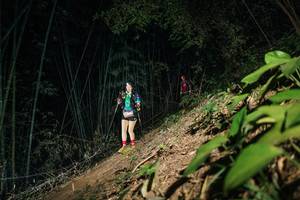 BIB: 
                            <button type="button" onclick="openModal(28158496)" class="btn btn-primary btn-sm float-right btn-popup" data-toggle="modal" data-target=".modal-high-quality">
                        <i class="fas fa-shopping-cart"></i> Add to Cart
                    </button>
                                            <button type="button" onclick="isThisMe(28158496, true)" class="btn btn-success btn-sm float-right btn-popup btn-isme hidden" data-toggle="tooltip" data-placement="bottom" title="นี่คือรูปของคุณใช่ไหม คลิกที่นี่เพื่อเอาเข้าอัลบั้ม">
                        <i class="fas fa-plus"></i> Add to album
                    </button>
                    <button type="button" onclick="isThisMe(28158496, false)" class="btn btn-warning btn-sm float-right btn-popup btn-isnotme hidden">
                        <i class="fas fa-ban"></i> Remove from album
                    </button>